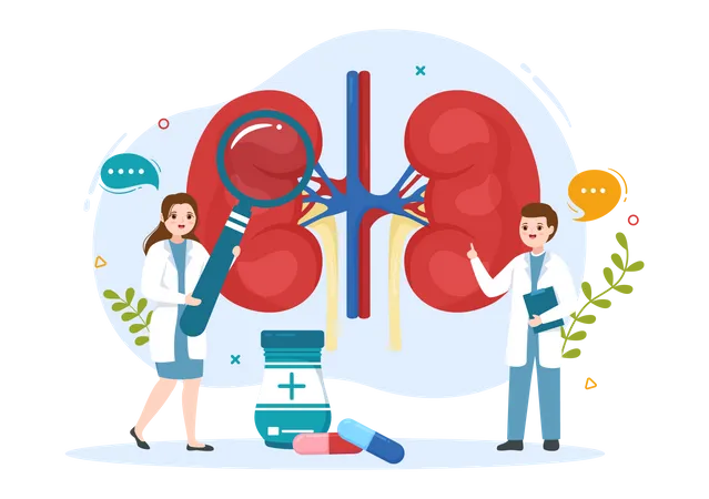 Nephrologist Illustration With Cardiologist Proctologist And Treat Kidneys Organ In Flat Cartoon Hand Drawn For Web Banner Or Landing Page Templates Illustration