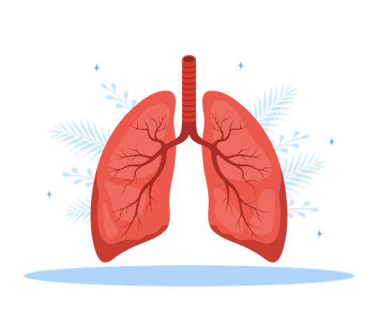 Concepto de neumólogo. Diagnóstico y tratamiento médico de los pulmones. Enfermedades del sistema respiratorio y atención médica. Ilustración vectorial plana.  Ilustración