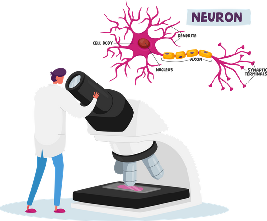 Investigación de laboratorio de neurobiología o química  Ilustración