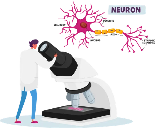 Investigación de laboratorio de neurobiología o química  Ilustración