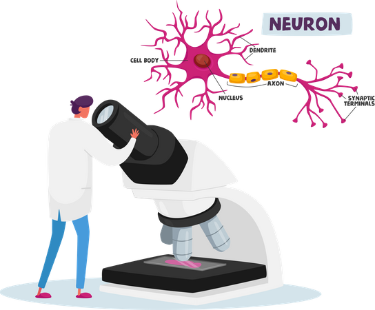 Neurobiology or Chemical Laboratory Research Illustration