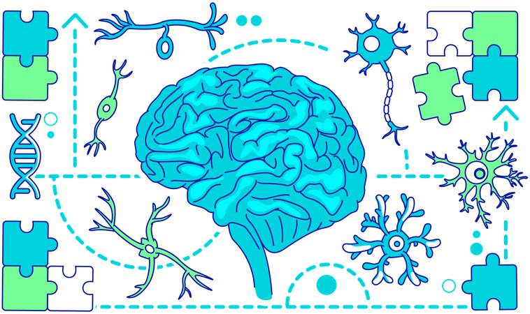 Neurologie  Illustration