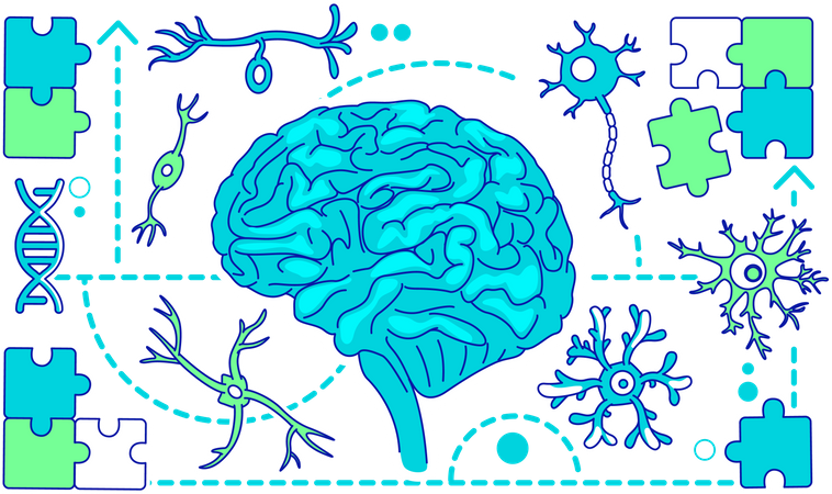 Neurology  Illustration