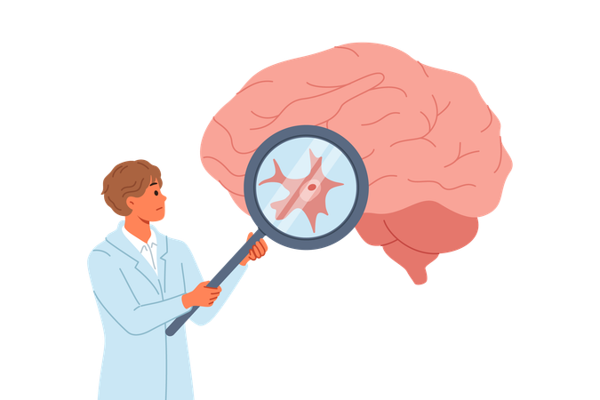 Neurosurgeon doctor examines patient large brain for signs of malignancy  Illustration