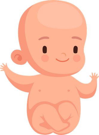 Newborn Baby  Illustration