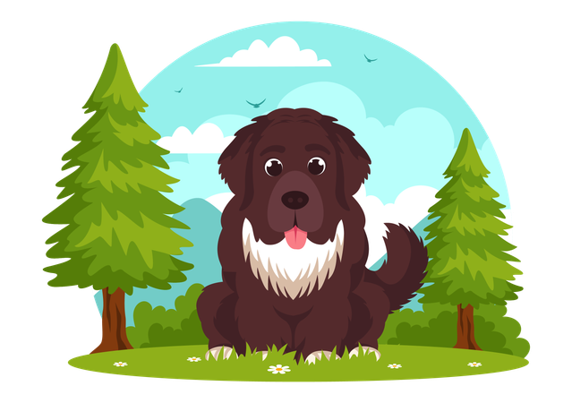 Newfoundland Dog  Illustration