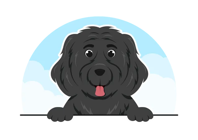 Newfoundland Dog  Illustration