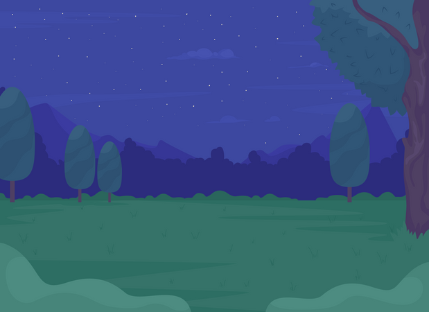 Night summer forest  Illustration