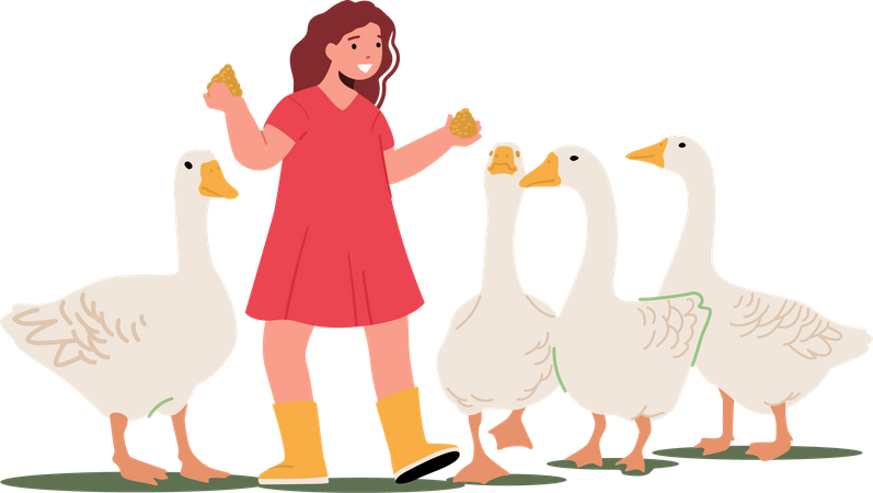 Chica alimentando aves a patos  Ilustración