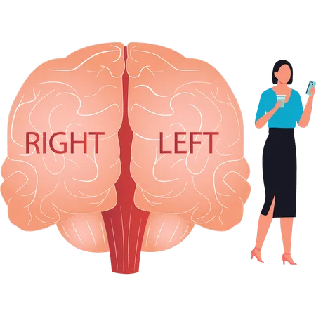 La niña mira el móvil en el lado izquierdo y derecho del cerebro.  Ilustración