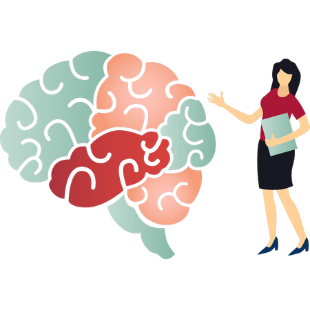 La muchacha muestra un cerebro humano  Ilustración