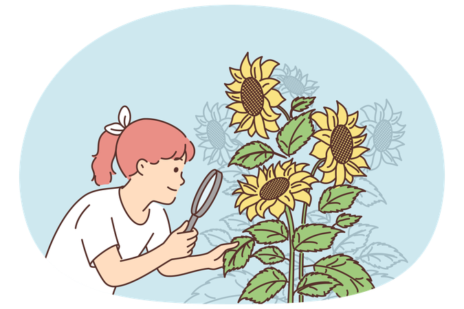 Una niña mira girasoles a través de una lupa deseando convertirse en agricultora o botánica.  Ilustración