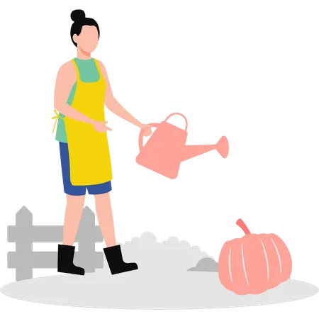 Niña regando calabaza  Ilustración