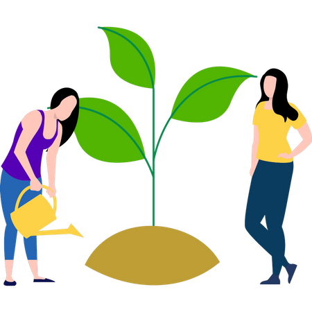 Niñas regando la planta.  Ilustración