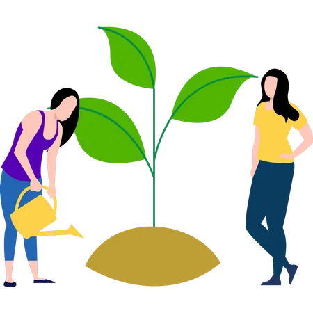 Niñas regando la planta.  Ilustración