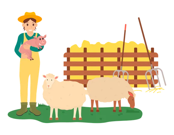 El niño está criando ovejas para obtener lana.  Ilustración