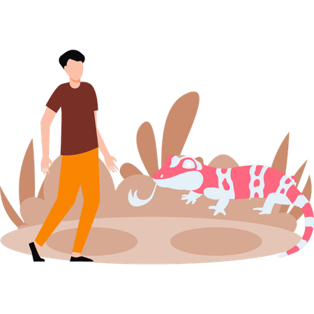 El chico está mirando camaleón.  Ilustración