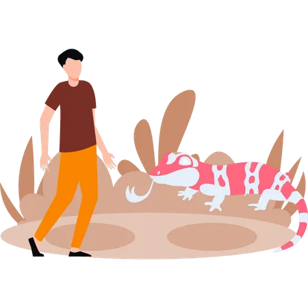 El chico está mirando camaleón.  Ilustración