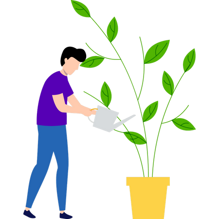 El chico está regando la planta.  Ilustración