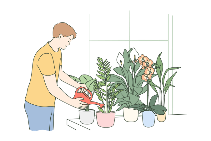 El niño está regando las plantas.  Ilustración