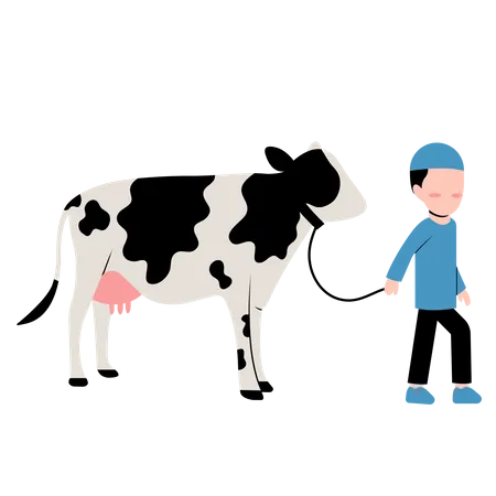 Niño islámico con vaca  Ilustración