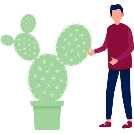 Niño mostrando cactus Rebute  Ilustración