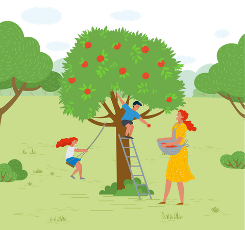 Niño pequeño recogiendo fruta del árbol  Ilustración