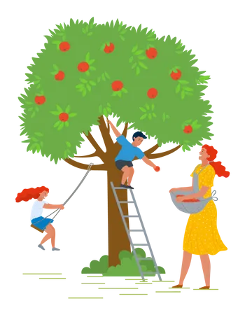 Niño recogiendo fruta del árbol  Ilustración