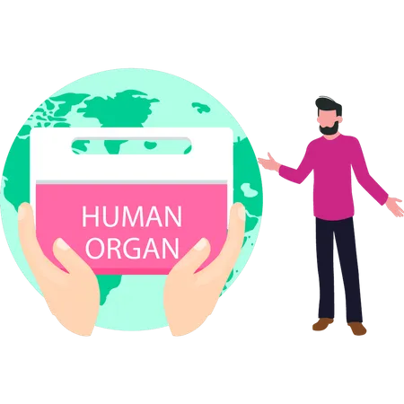 Niño recogiendo donación de órganos humanos  Ilustración