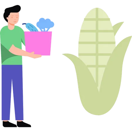 Niño sosteniendo bolsa de verduras  Ilustración