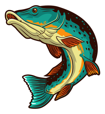 Northern Pike  Illustration