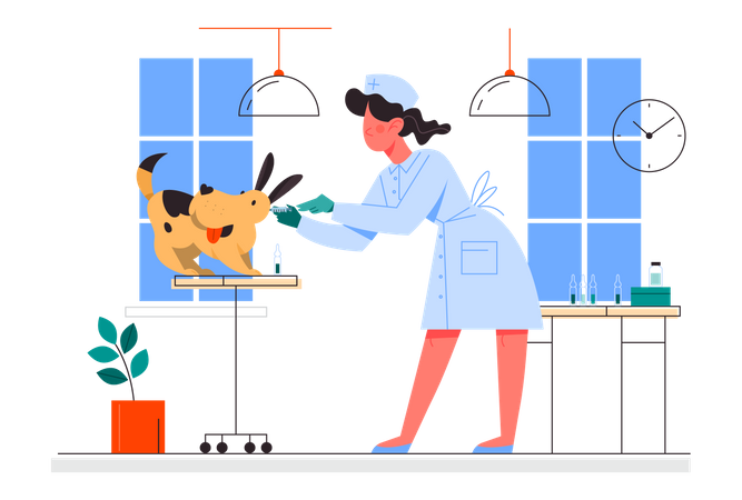 Nurse making a vaccine injection to a dog  Illustration