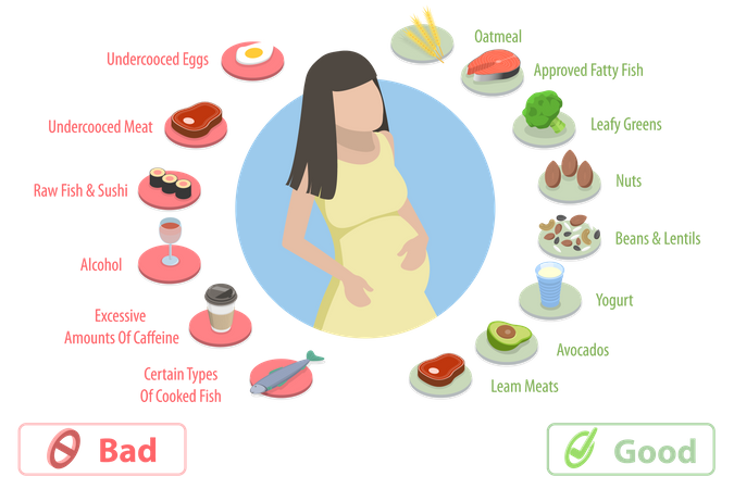 Nutrição durante a gravidez  Ilustração