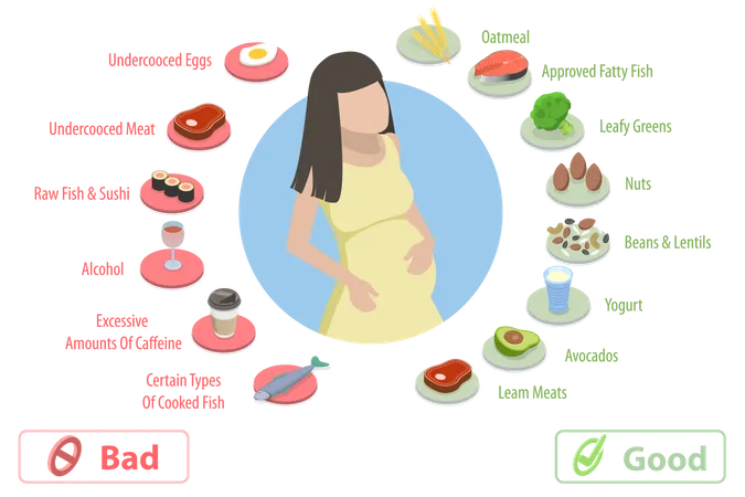 Nutrição durante a gravidez  Ilustração
