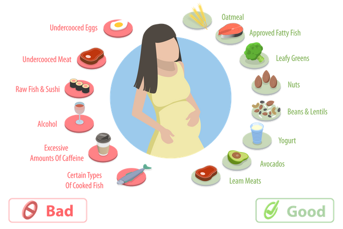 Nutrition During Pregnancy  Illustration