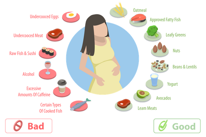 Nutrition During Pregnancy  Illustration