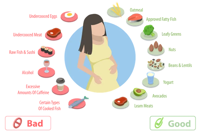 Nutrition During Pregnancy  Illustration