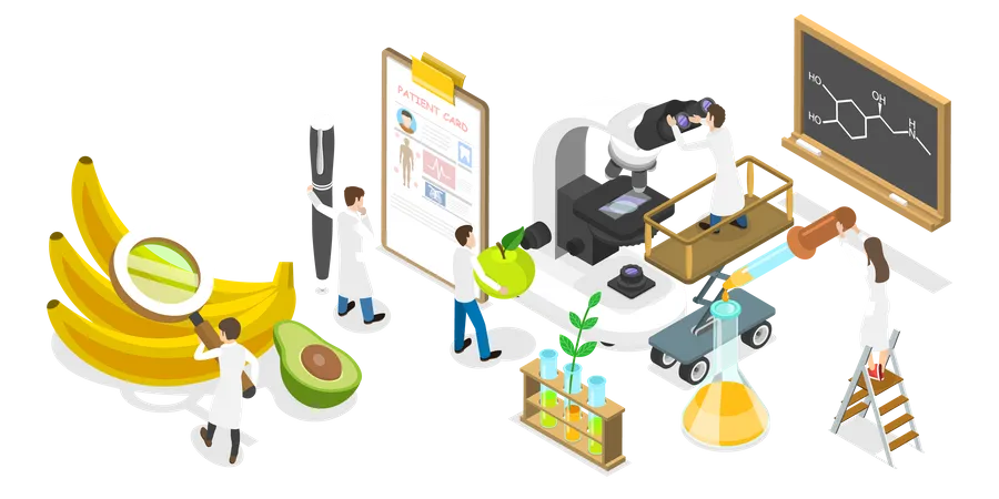 Nutrition Research  Illustration