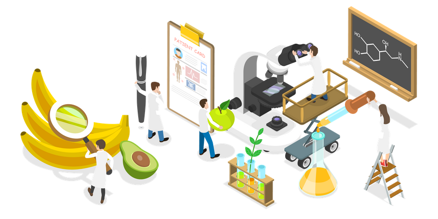 Nutrition Research  Illustration