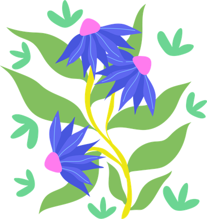 Nymphea Water Garden  Illustration