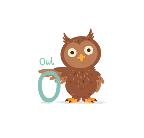 O for Owl  Illustration