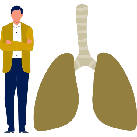 O homem está de pé perto do sistema urinário humano  Ilustração