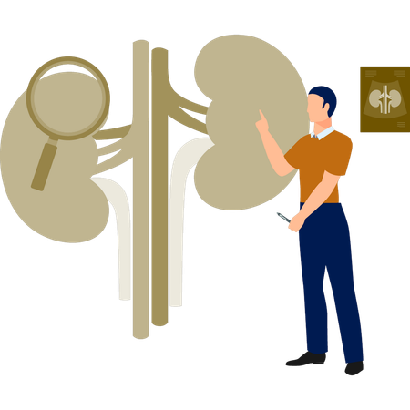 O homem está procurando doença renal  Ilustração