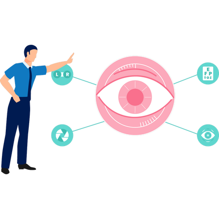 O menino está apontando para a anatomia dos olhos  Ilustração