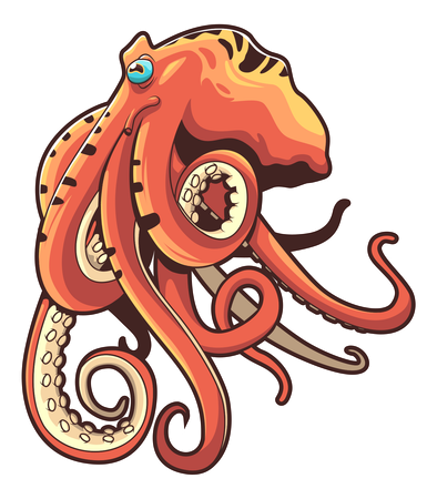 Octopus  Illustration