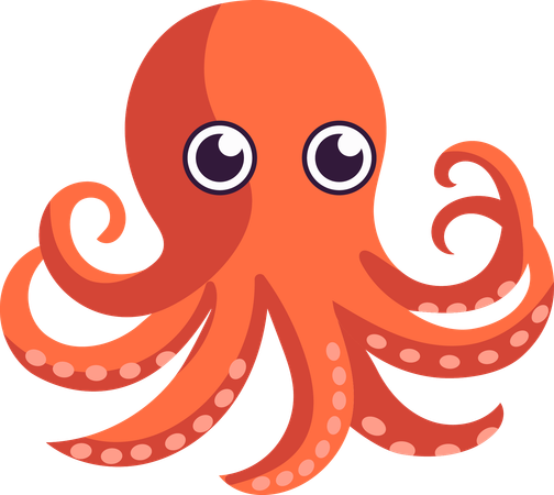 Octopuus  Illustration