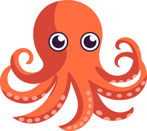 Octopuus  Illustration