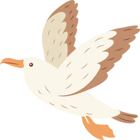 Oiseau Albatros mignon en vol  Illustration