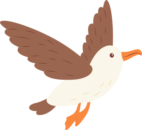 Oiseau Albatros mignon en vol  Illustration