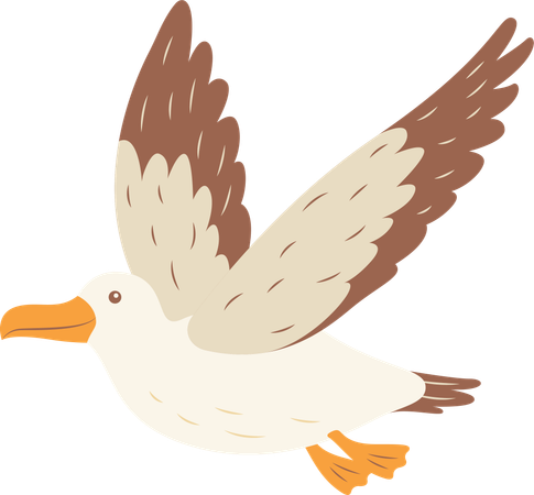 Oiseau Albatros mignon en vol  Illustration